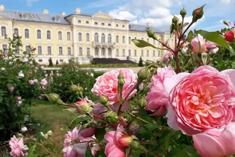 6.07. | Zied ROZES RUNDĀLĒ... Ekskursija pilī un laiks Rožu dārzā! Vēl - Viļa Plūdona lauku mājās.