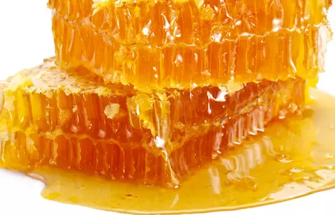 5.07. | Iedvesmojies IECAVĀ! Medus, māls un muiža. IECAVAS baznīcas ATDZIMŠANA! 